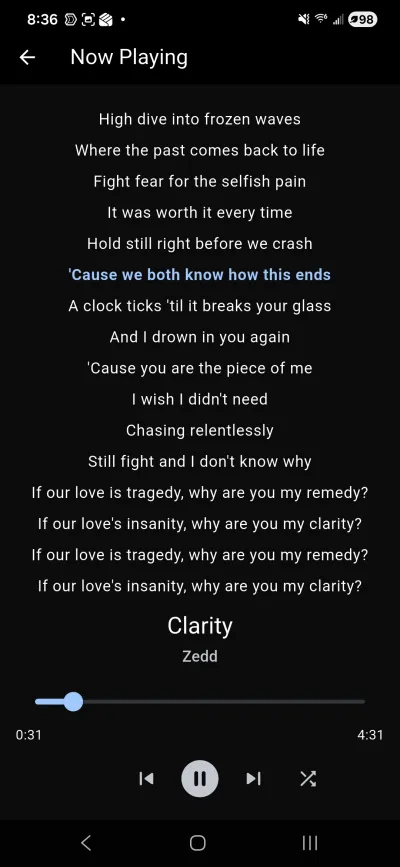 Synchronized lyrics view